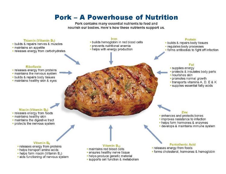 Pork, A Powerhouse of Nutrition